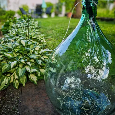 Pianoforte Giardino Apartamento Gravedona
