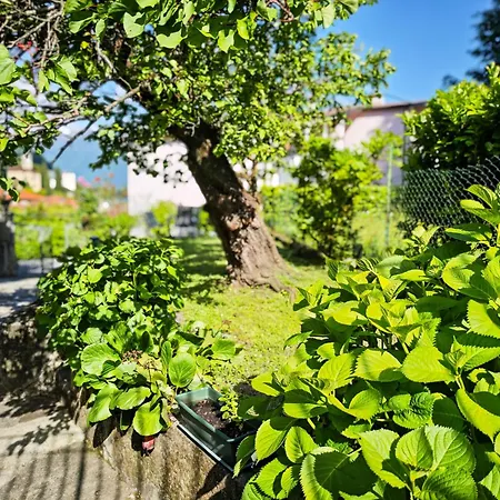 Pianoforte Giardino * 赫拉弗多纳