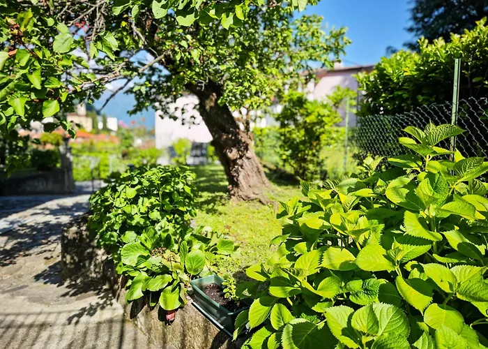 Pianoforte Giardino * גראבדונה